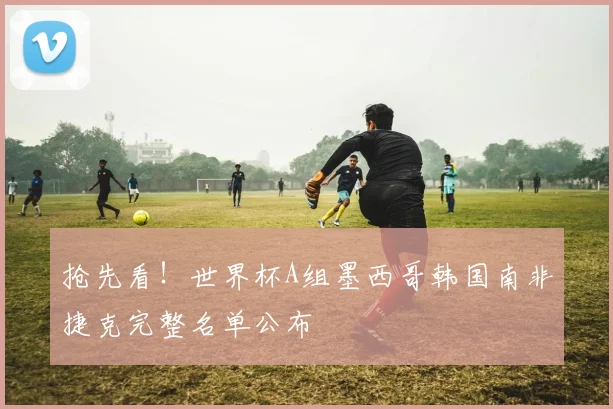 抢先看！世界杯A组墨西哥韩国南非捷克完整名单公布
